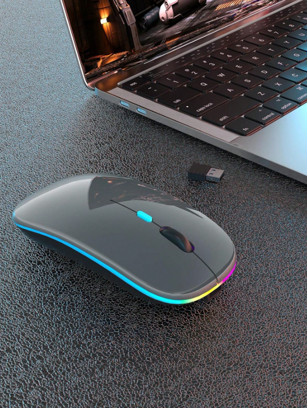 Belaidė RGB Kompiuterio Pelė (pilka)