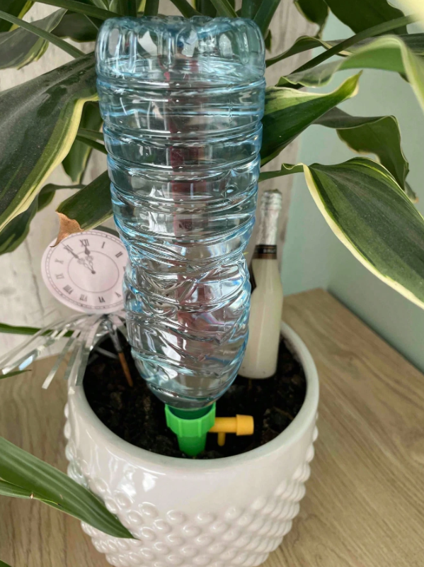 Automatinis reguliuojamas laistymo antgalis gėlėms ir augalams